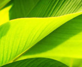 FEATURE: Sustainability Drive – interior design